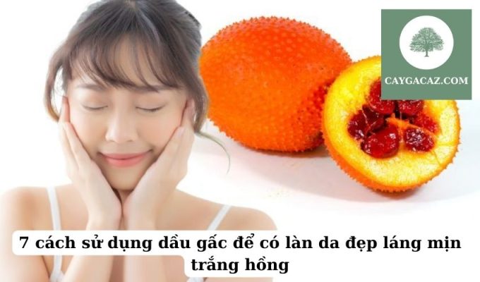 7 cách sử dụng dầu gấc để có làn da đẹp láng mịn trắng hồng