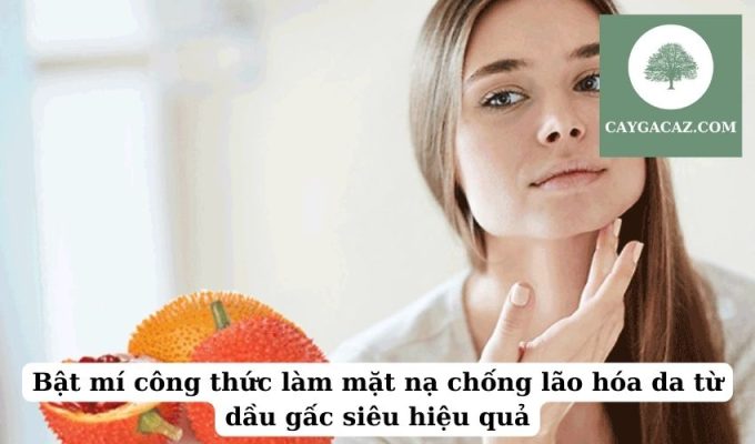 Bật mí công thức làm mặt nạ chống lão hóa da từ dầu gấc siêu hiệu quả