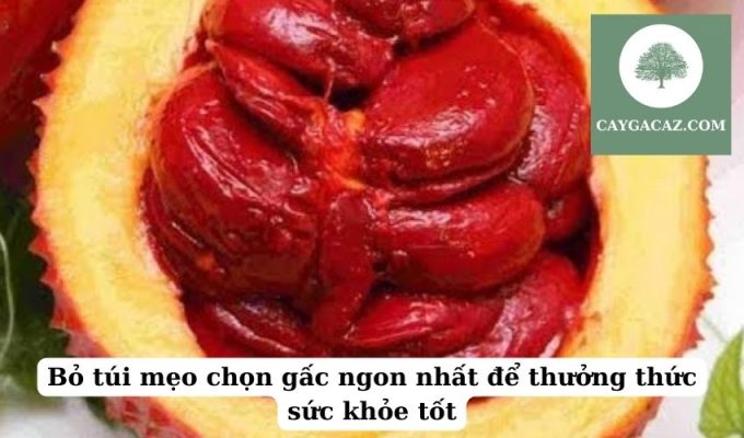 Bỏ túi mẹo chọn gấc ngon nhất để thưởng thức sức khỏe tốt