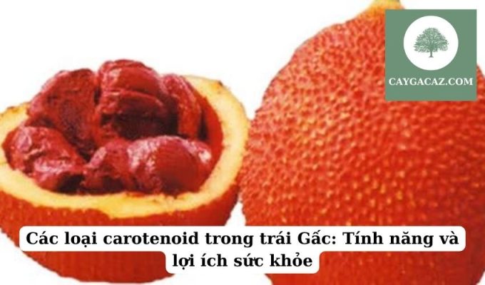 Các loại carotenoid trong trái Gấc Tính năng và lợi ích sức khỏe