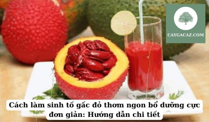 Cách làm sinh tố gấc đỏ thơm ngon bổ dưỡng cực đơn giản Hướng dẫn chi tiết