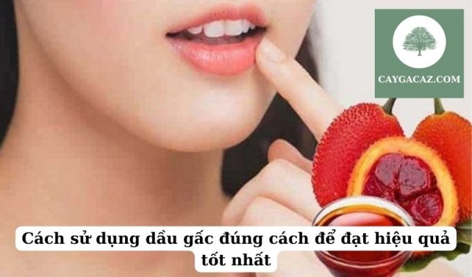 Cách sử dụng dầu gấc đúng cách để đạt hiệu quả tốt nhất