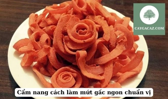 Cẩm nang cách làm mứt gấc ngon chuẩn vị