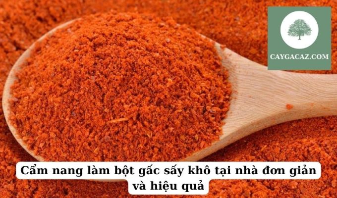 Cẩm nang làm bột gấc sấy khô tại nhà đơn giản và hiệu quả