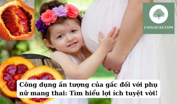 Công dụng ấn tượng của gấc đối với phụ nữ mang thai Tìm hiểu lợi ích tuyệt vời!