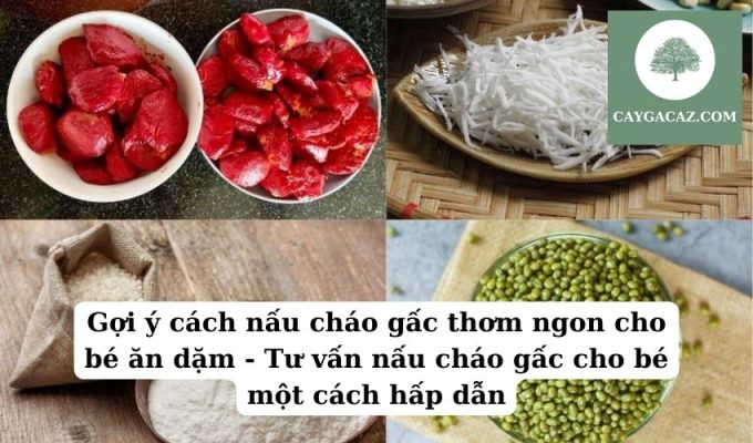 Gợi ý cách nấu cháo gấc thơm ngon cho bé ăn dặm - Tư vấn nấu cháo gấc cho bé một cách hấp dẫn