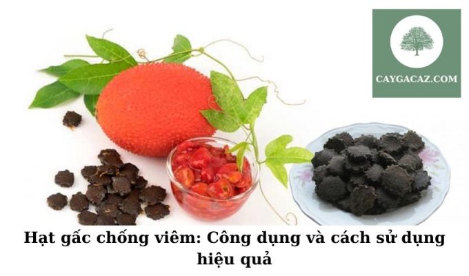 Hạt gấc chống viêm Công dụng và cách sử dụng hiệu quả