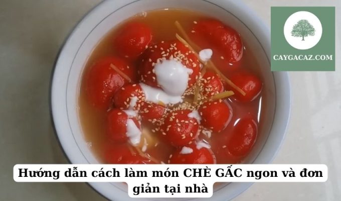 Hướng dẫn cách làm món CHÈ GẤC ngon và đơn giản tại nhà