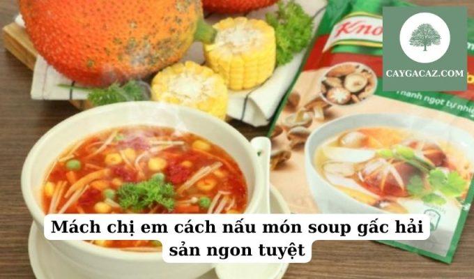 Mách chị em cách nấu món soup gấc hải sản ngon tuyệt