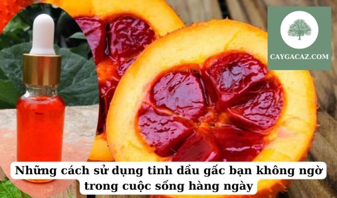 Những cách sử dụng tinh dầu gấc bạn không ngờ trong cuộc sống hàng ngày